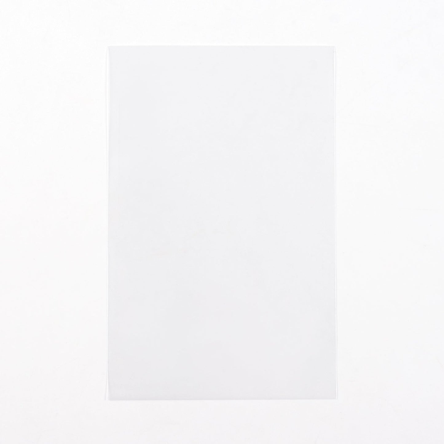 Postcard Sized Sleeves (100 count)