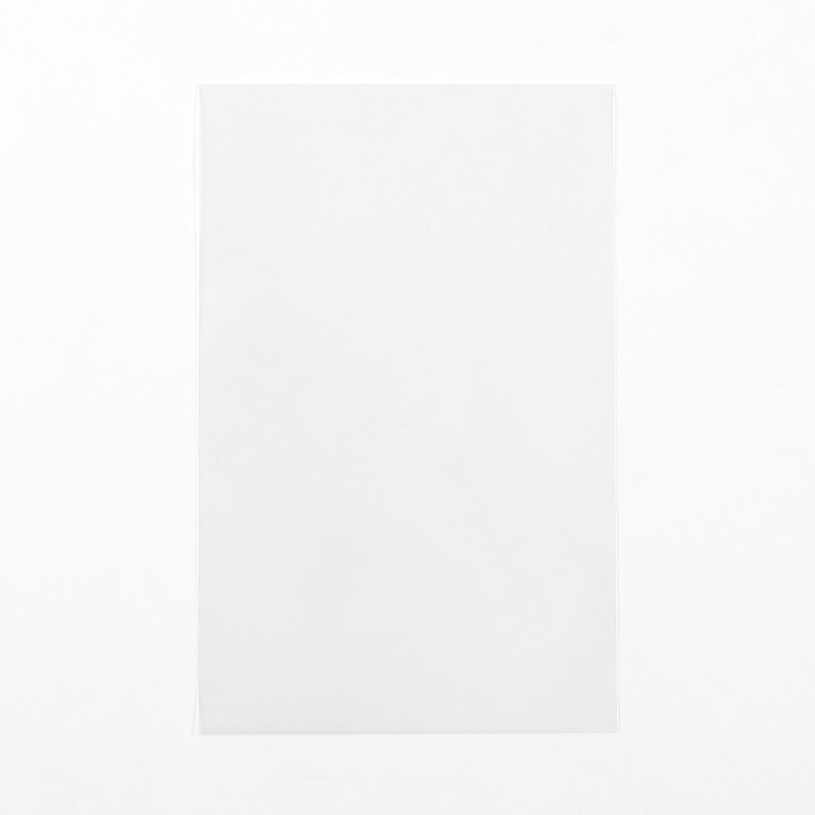 Postcard Sized Sleeves (100 count)