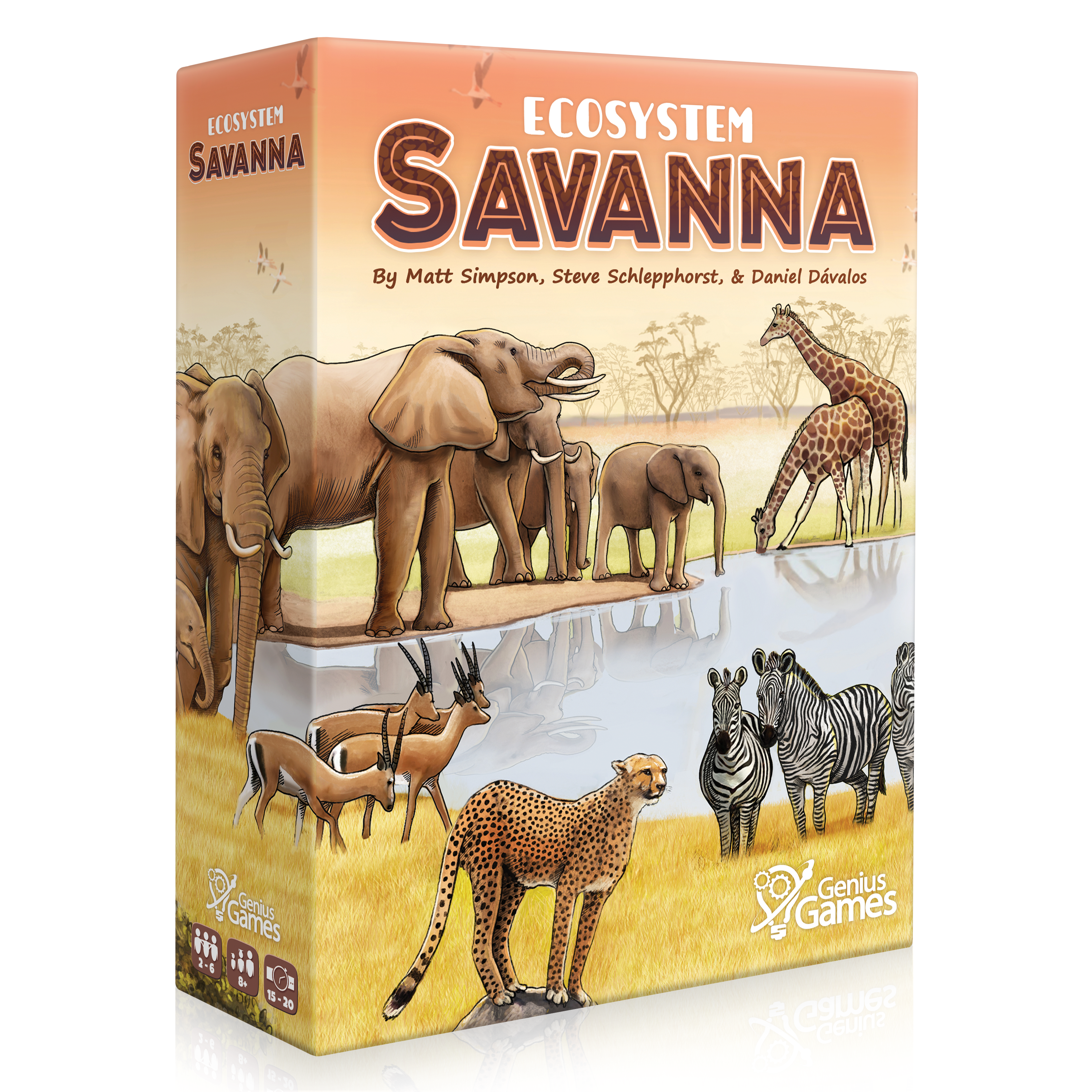 Ecosystem: Savanna | A Family Card Game About Animals on Grassy Woodland of African Savanna