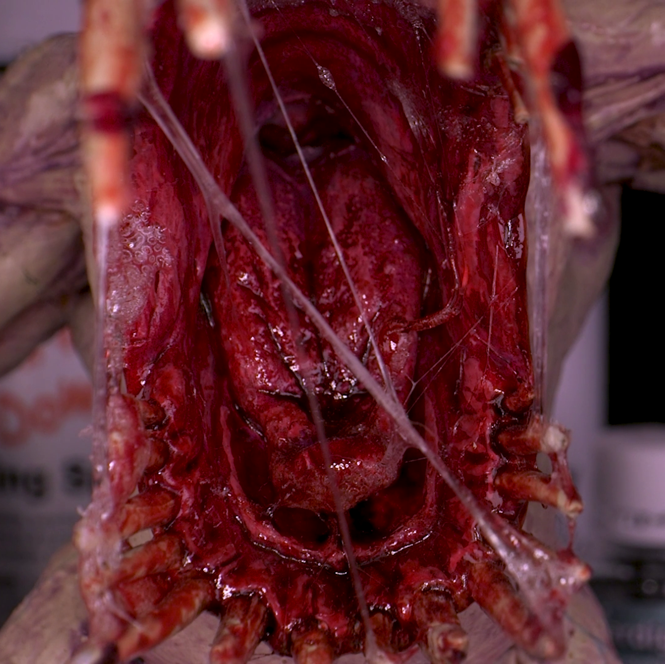 Dirty Down | Basing and Model Effects | Gore
