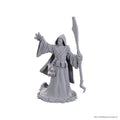 D&D Nolzur's Marvelous Miniatures: Star Spawn Larva Mage - Out of Play