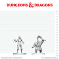 D&D Nolzur's Marvelous Miniatures: Cultist of Bane & Dwarf Zhentilar Soldier
