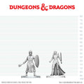 D&D Nolzur's Marvelous Miniatures: Black Gauntlet & Zhentilar Paladin of Bane