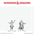 D&D Nolzur's Marvelous Miniatures: Knight & Mage Apprentice