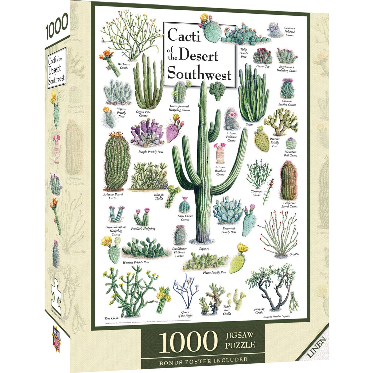 Cacti of the Desert Southwest 1000 Piece Jigsaw Puzzle - Out of Play