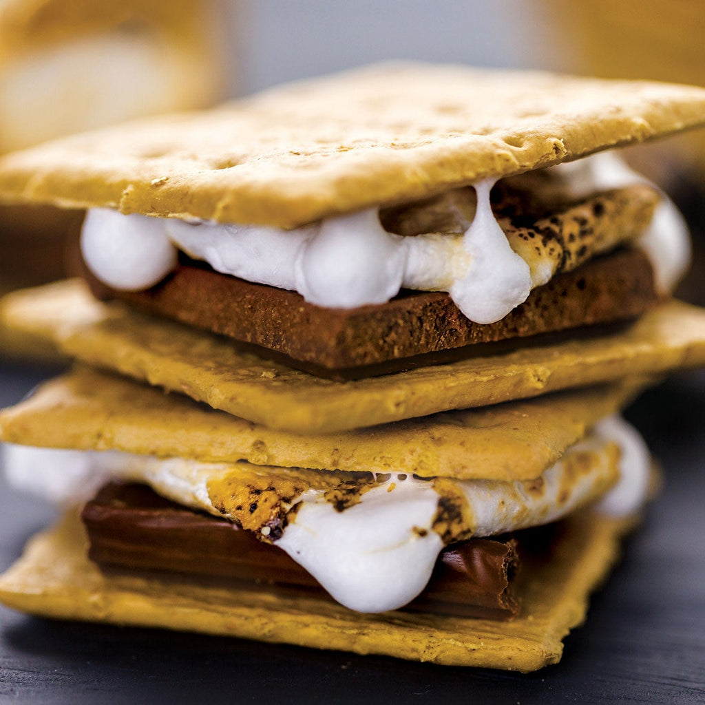 S'mores 100 Piece Jigsaw Puzzle - Out of Play