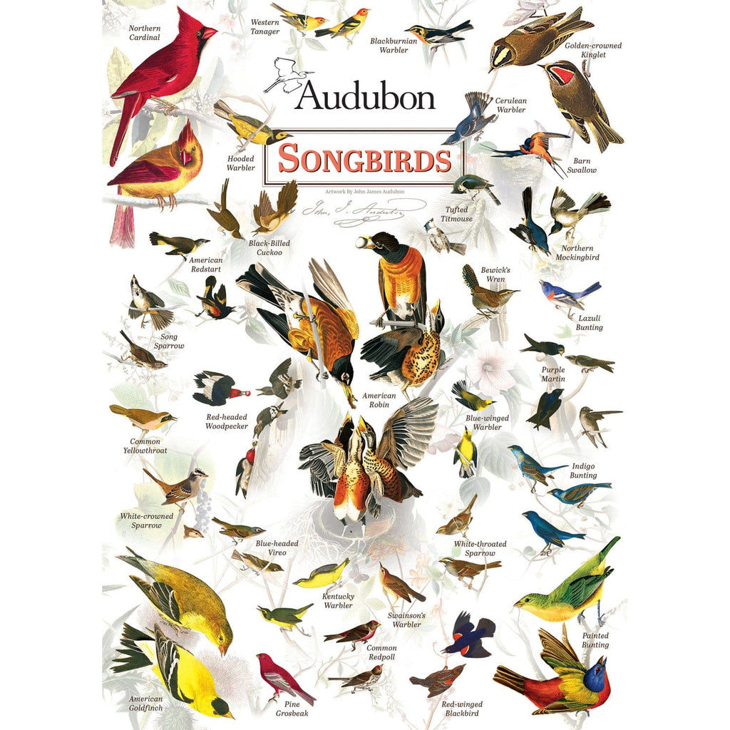 Audubon - Songbirds 1000 Piece Jigsaw Puzzle - Out of Play
