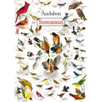 Audubon - Songbirds 1000 Piece Jigsaw Puzzle - Out of Play