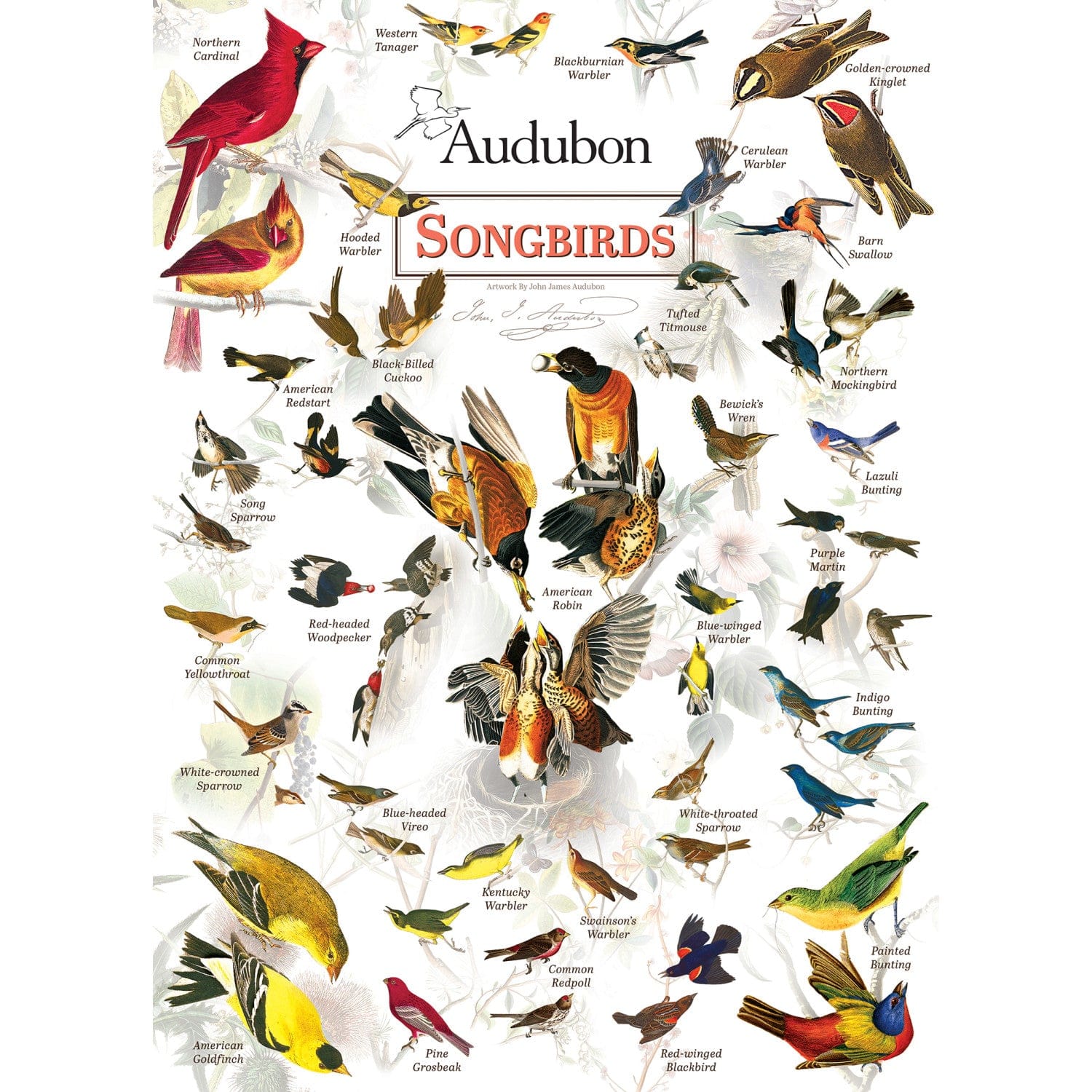 Audubon - Songbirds 1000 Piece Jigsaw Puzzle - Out of Play