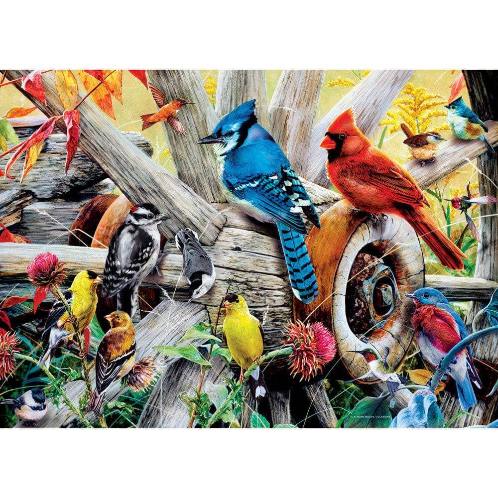 Audubon - Backyard Birds 1000 Piece Jigsaw Puzzle - Out of Play
