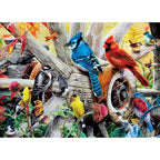 Audubon - Backyard Birds 1000 Piece Jigsaw Puzzle - Out of Play