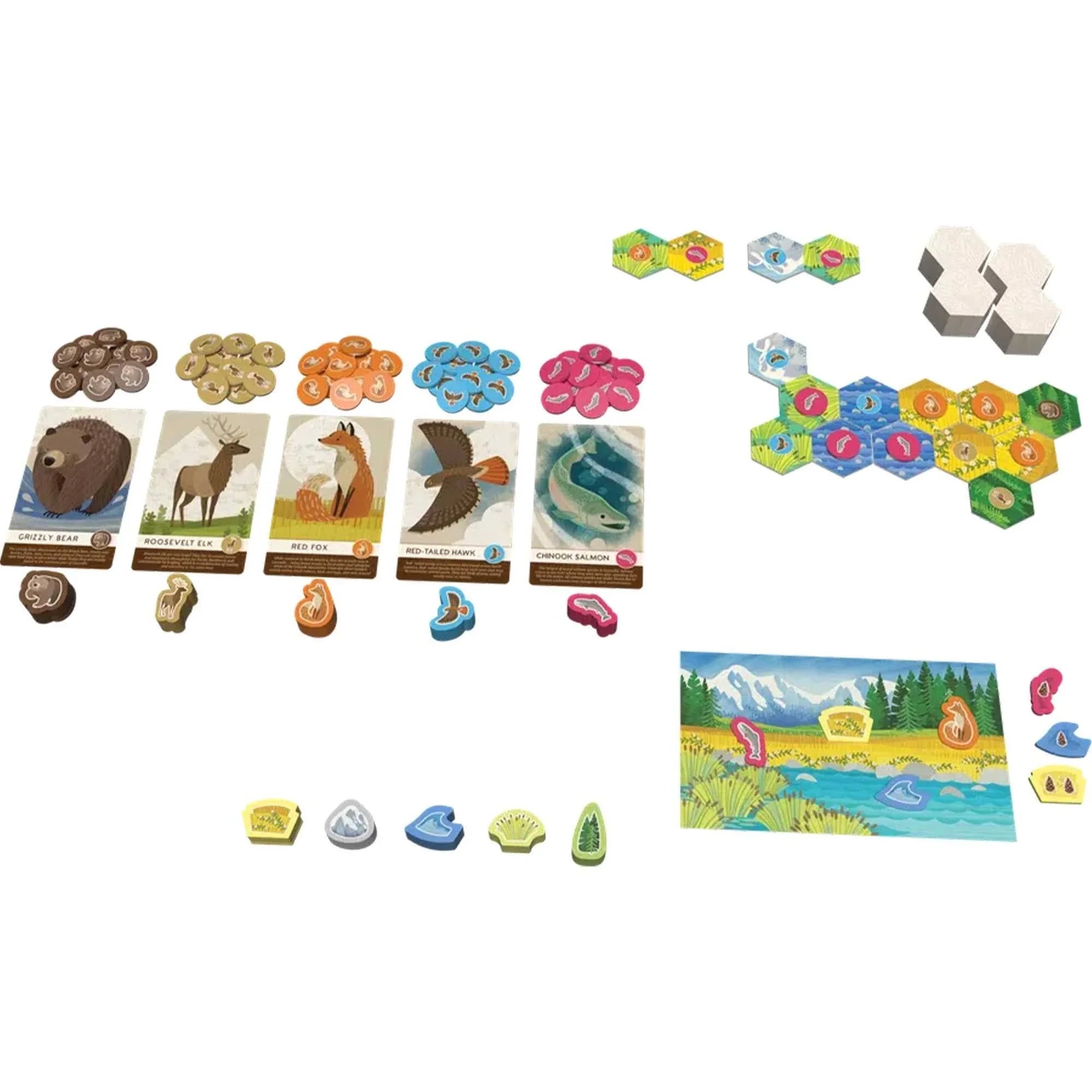 Cascadia Junior - Board Game - Out of Play