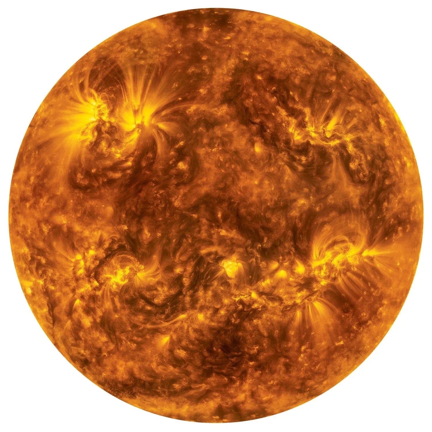 The Sun - 1000 Piece Round Jigsaw Puzzle - Out of Play