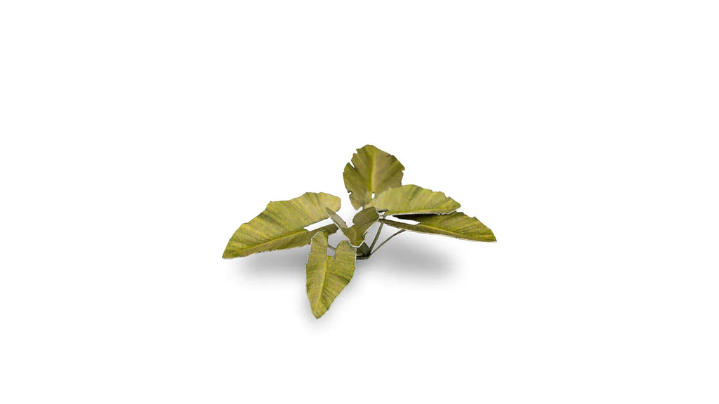 Gamers Grass - Laser Plants - Elephant Ear - Out of Play