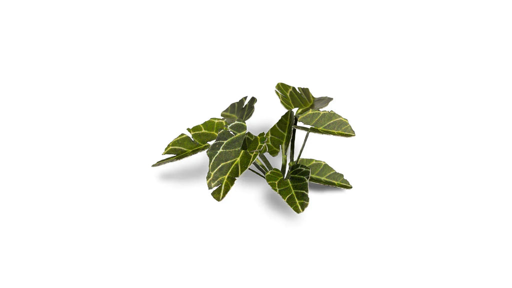 Gamers Grass - Laser Plants - Elephant Ear - Out of Play