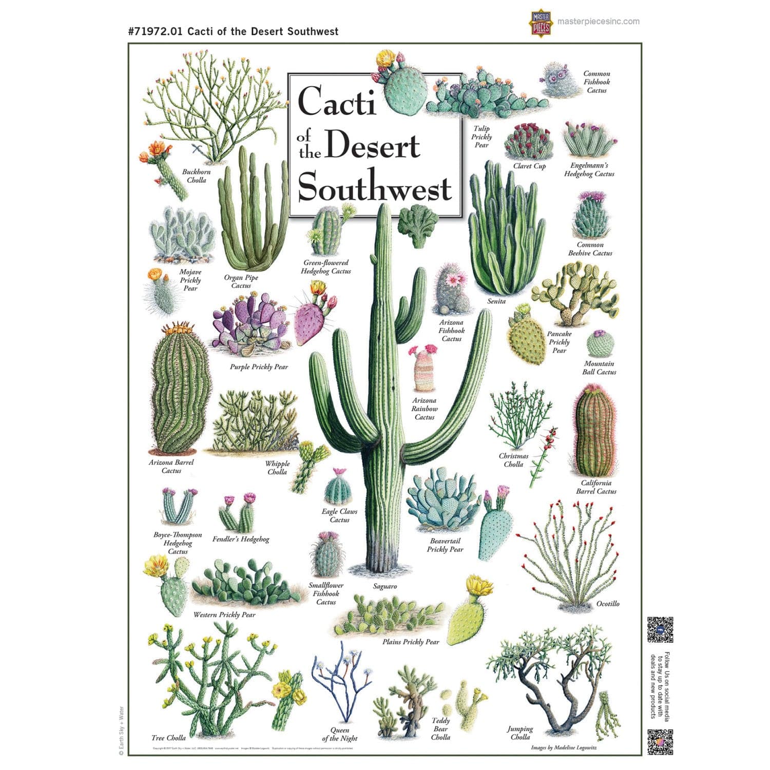 Cacti of the Desert Southwest 1000 Piece Jigsaw Puzzle - Out of Play
