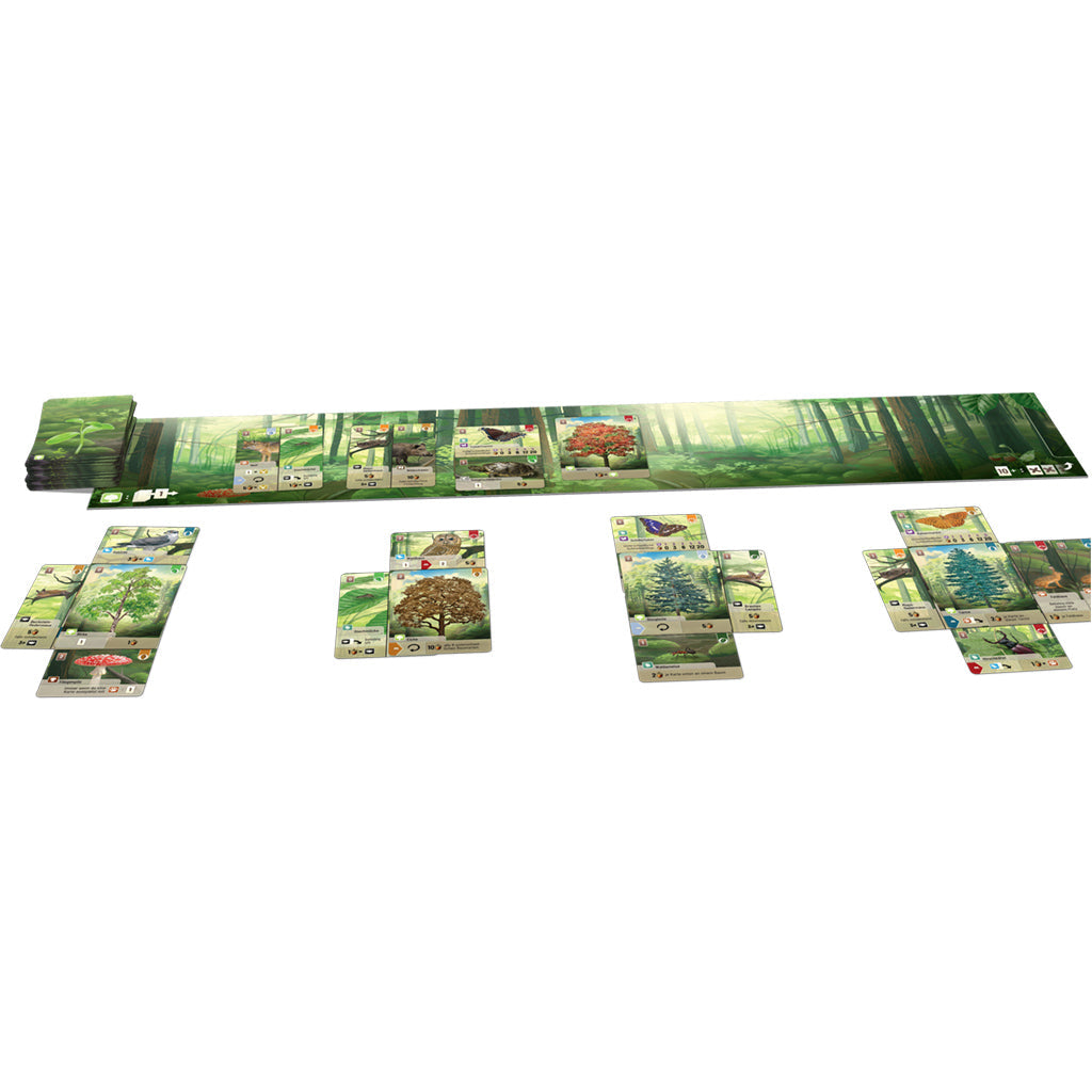 Forest Shuffle - Board Game - Out of Play