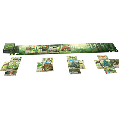 Forest Shuffle - Board Game - Out of Play