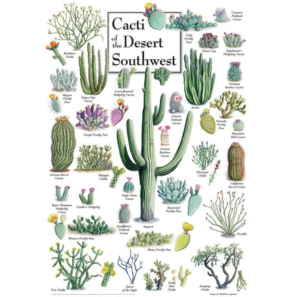 Cacti of the Desert Southwest 1000 Piece Jigsaw Puzzle - Out of Play