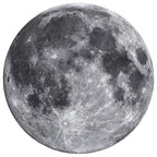 The Moon - 1000 Piece Round Jigsaw Puzzle - Out of Play