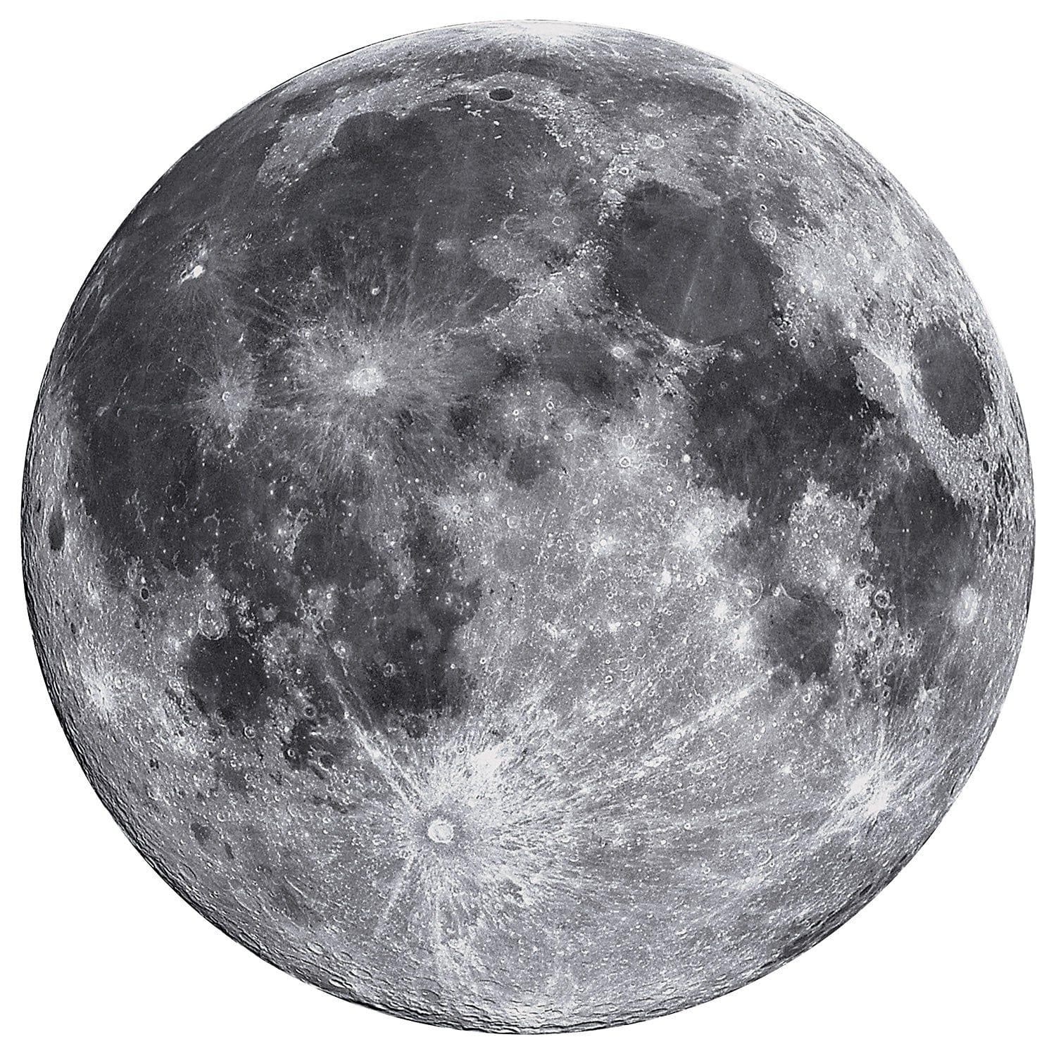 The Moon - 1000 Piece Round Jigsaw Puzzle - Out of Play