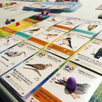 Wingspan - European Expansion - Board Game - Out of Play