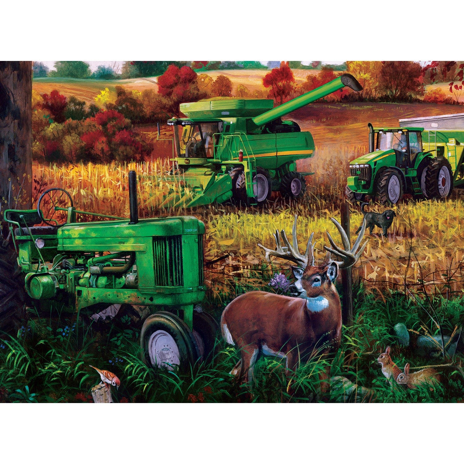 Farm & Country - 500 Piece Jigsaw Puzzles 4 Pack MasterPieces Puzzle Company INC