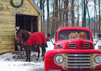 Trefl Country Christmas 1000 Piece Puzzle