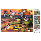 Audubon - Autumn Feathers 1000 Piece Jigsaw Puzzle - Out of Play