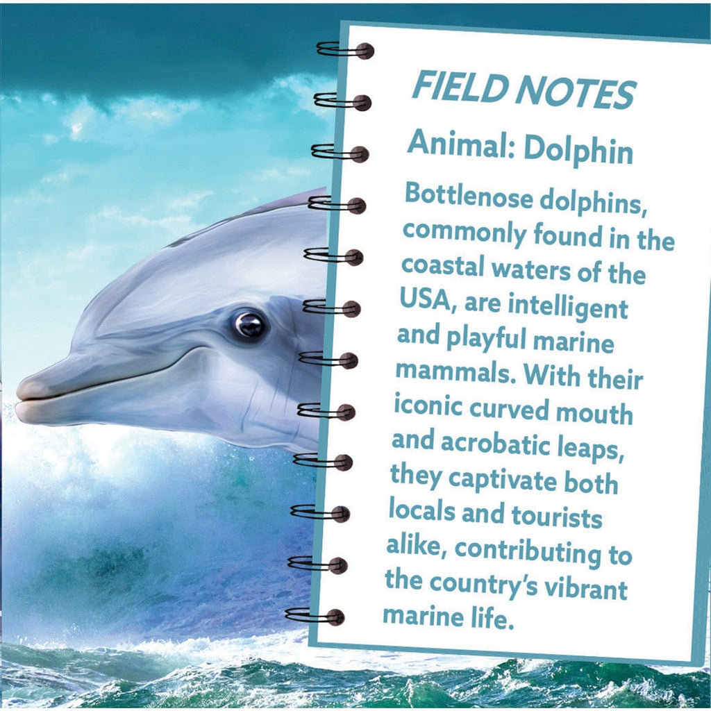Dolphin 100 Piece Shaped Jigsaw Puzzle - Out of Play