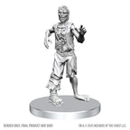 D&D Nolzur's Marvelous Miniatures: Classic Vampire & Classic Zombie