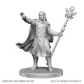 D&D Nolzur's Marvelous Miniatures: Drow Mage & Yochlol