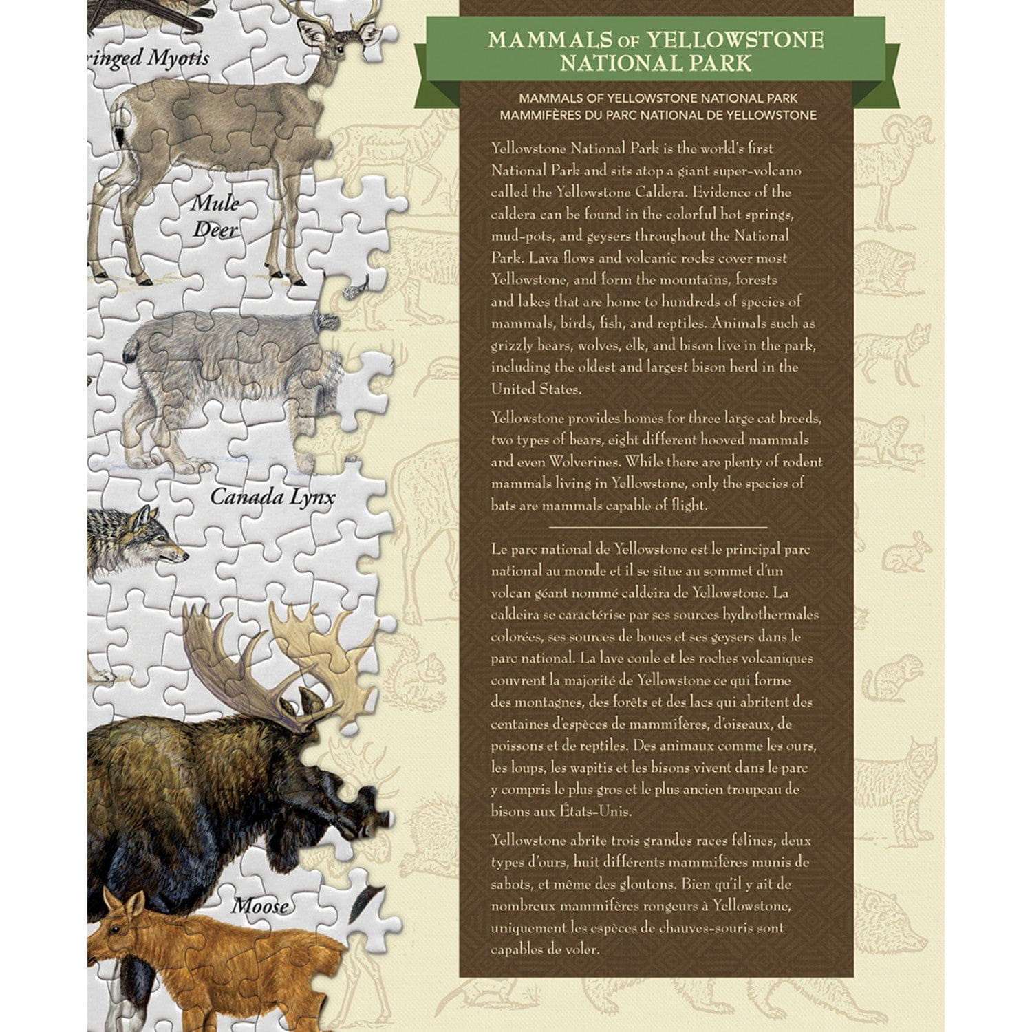 Mammals of Yellowstone National Park 1000 Piece Jigsaw Puzzle - Out of Play