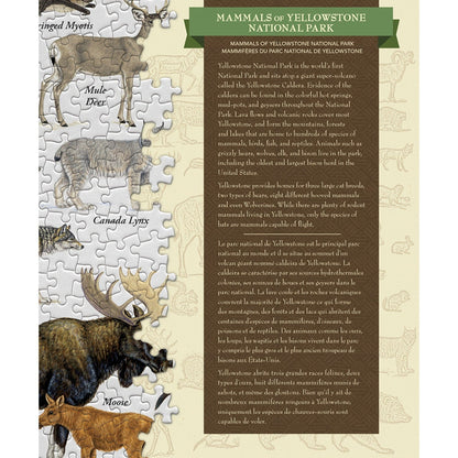 Mammals of Yellowstone National Park 1000 Piece Jigsaw Puzzle - Out of Play