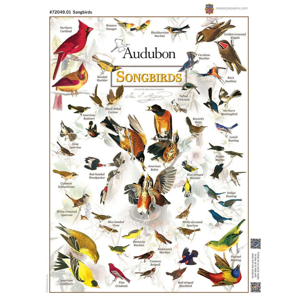 Audubon - Songbirds 1000 Piece Jigsaw Puzzle - Out of Play