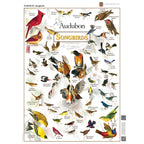 Audubon - Songbirds 1000 Piece Jigsaw Puzzle - Out of Play